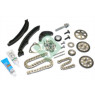 INA 559019950 - Timing Chain Kit