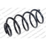 Neox SP8181 - Coil Spring (Front)