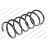 Neox SP6821 - Coil Spring (Rear)