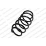 Neox SP7038 - Coil Spring (Front)