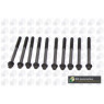 BGA Group BK3315 - Head Bolts