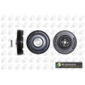 BGA Group DP2976K - Torsion Vibration Damper