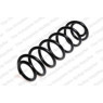 Neox SH6126 - Coil Spring (Rear)