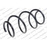 Neox SP7775 - Coil Spring (Front)