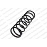 Neox SP7751 - Coil Spring (Rear)