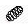 Neox SX6336 - Coil Spring (Rear)