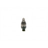 Bosch 0281006074 - Common Rail Assembly