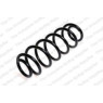 Neox SP8550 - Coil Spring (Rear)