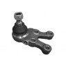 Camber CBJ25331 - Ball Joint (Front Left Hand)