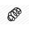 Neox SH6017 - Coil Spring (Rear)