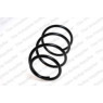 Neox SP8300 - Coil Spring (Front)