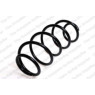 Neox SP7048 - Coil Spring (Front)