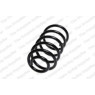 Neox SP6834 - Coil Spring (Rear)