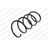 Neox SA6045 - Coil Spring (Front)