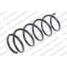 Neox SP6806 - Coil Spring (Front)
