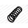 Neox SP8328 - Coil Spring (Front)