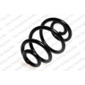 Neox SP8899 - Coil Spring (Rear)