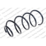 Neox SP8241 - Coil Spring (Front)