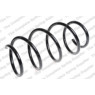 Neox SP7355 - Coil Spring (Front)