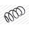 Neox SP6626 - Coil Spring (Front)