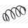 Neox SH6317 - Coil Spring (Front)