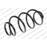 Neox SH6317 - Coil Spring (Front)