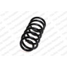 Neox SP6840 - Coil Spring (Rear)