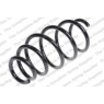 Neox SP7120 - Coil Spring (Front)