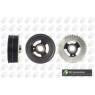 BGA Group DP2310 - Torsion Vibration Damper