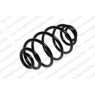Neox SX6079 - Coil Spring (Rear)