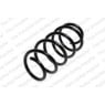 Neox SH6125 - Coil Spring (Front)