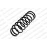 Neox SP6894 - Coil Spring (Rear)
