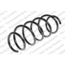Neox SH6235 - Coil Spring (Front)