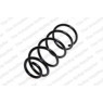 Neox SC6249 - Coil Spring (Rear)