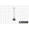 BGA Group V123822 - Exhaust Valve