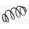 Neox SH6318 - Coil Spring (Front)