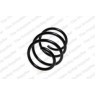 Neox SP7579 - Coil Spring (Front)
