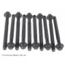 Blue Print ADN17818 - Head Bolts
