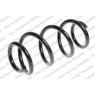 Neox SP7230 - Coil Spring (Front)