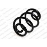 Neox SP7430 - Coil Spring (Rear)