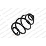 Neox SX6071 - Coil Spring (Rear)