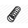 Neox SP8216 - Coil Spring (Front)
