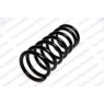 Neox SP7690 - Coil Spring (Front)