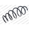 Neox SP9663 - Coil Spring (Front)