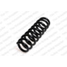 Neox SP7067 - Coil Spring (Rear)