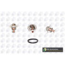BGA Group CT5396K - Thermostat