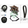 INA 530069130 - Timing Belt-Water Pump Kit