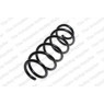 Neox SP7519 - Coil Spring (Rear)