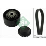 INA 529001610 - Drive Belt Kit