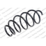 Neox SP9660 - Coil Spring (Front)